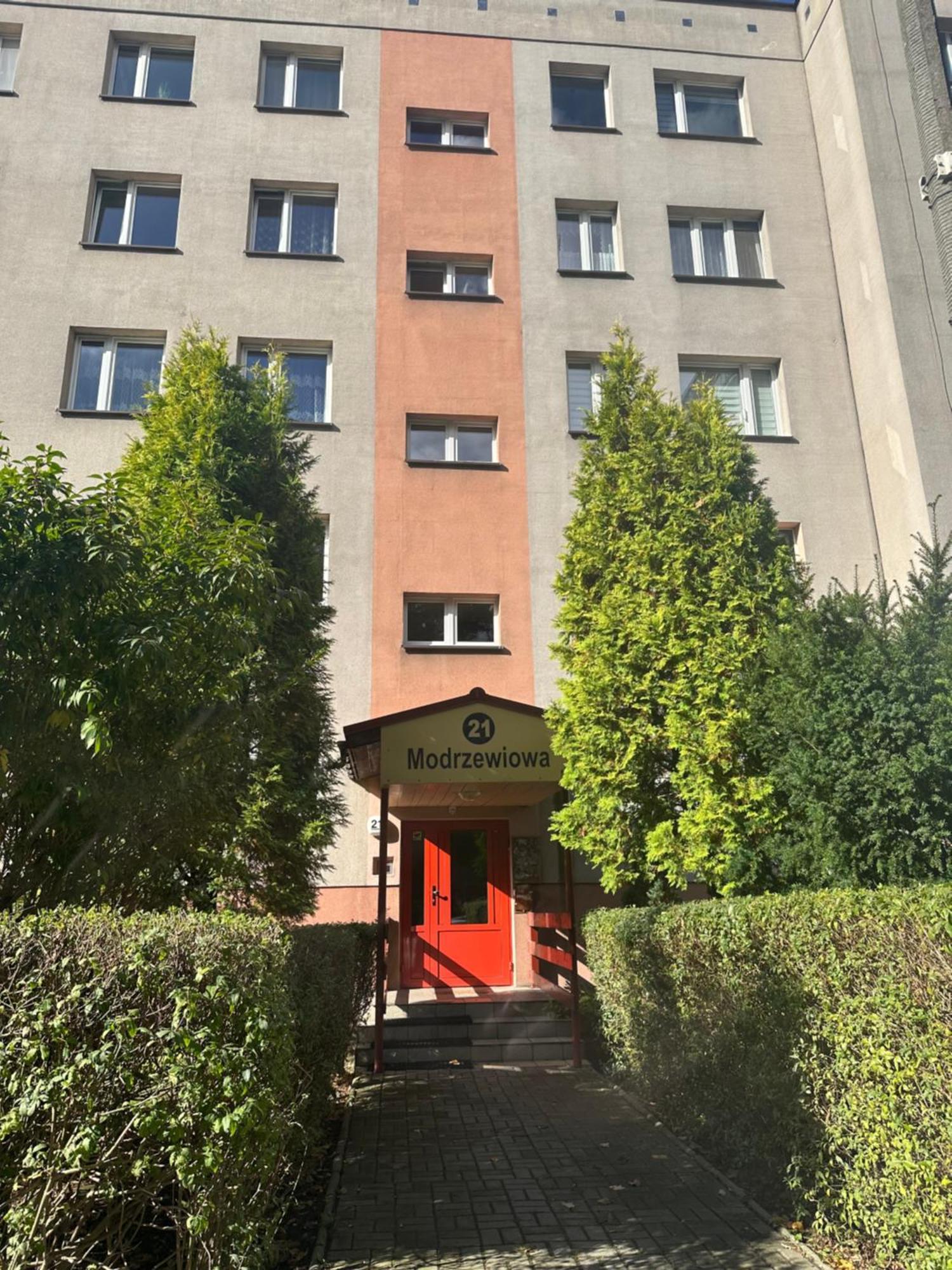 Modrzewiowa * Katowice